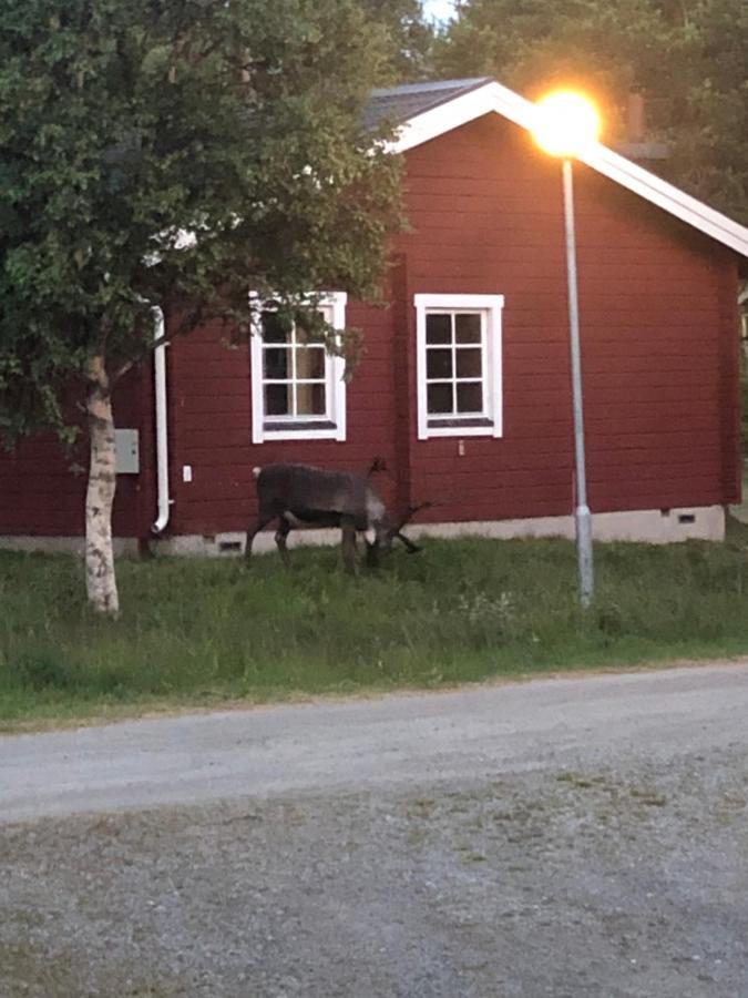 Baggarden Fjaellby, *
